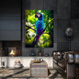 Parrot Macaw Bird 5 Wall Art