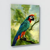 Parrot Macaw Bird 6 Wall Art