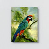 Parrot Macaw Bird 6 Wall Art