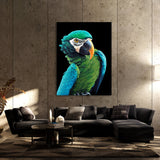 Parrot Macaw Bird 7 Wall Art