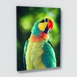Parrot Macaw Bird 9 Wall Art