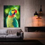 Parrot Macaw Bird 9 Wall Art