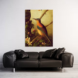 Pigeon Bird 1 Wall Art