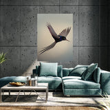 Pigeon Bird 4 Wall Art