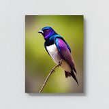 Purple Martin Bird1 Wall Art