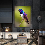 Purple Martin Bird1 Wall Art