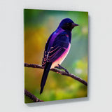 Purple Martin Bird2 Wall Art