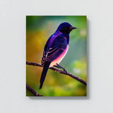 Purple Martin Bird2 Wall Art