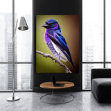 Purple Martin Bird3 Wall Art