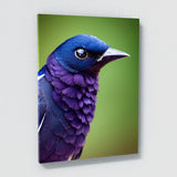 Purple Martin Bird5 Wall Art