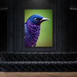 Purple Martin Bird5 Wall Art