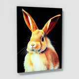 Rabbit 8 Wall Art