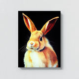 Rabbit 8 Wall Art