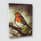 Robin Bird 3 Wall Art