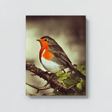 Robin Bird 3 Wall Art