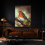 Robin Bird 3 Wall Art