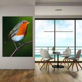 Robin Bird 4 Wall Art