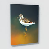 Sandpiper Bird 2 Wall Art