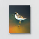 Sandpiper Bird 2 Wall Art