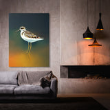 Sandpiper Bird 2 Wall Art