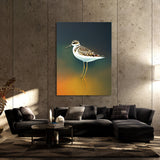 Sandpiper Bird 2 Wall Art