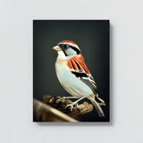 Sparrow Bird 3 Wall Art