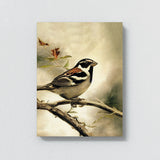 Sparrow Bird 4 Wall Art