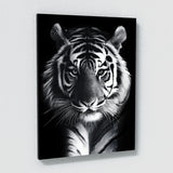 Tiger Standing Black And White Wall Art