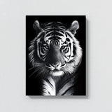 Tiger Standing Black And White Wall Art