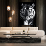 Tiger Standing Black And White Wall Art