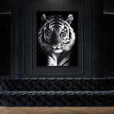 Tiger Standing Black And White Wall Art