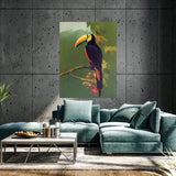 Toucan 1 Wall Art