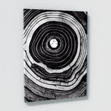 Tree Ring 1 Wall Art