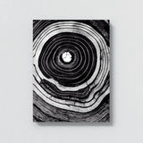 Tree Ring 1 Wall Art