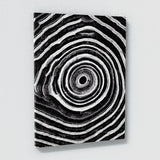 Tree Ring 3 Wall Art