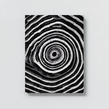 Tree Ring 3 Wall Art