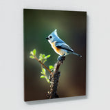 Tufted Titmouse Bird 2 Wall Art