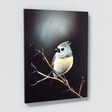 Tufted Titmouse Bird 4 Wall Art