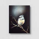 Tufted Titmouse Bird 4 Wall Art