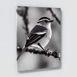 Warbler Bird 1 Wall Art