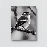 Warbler Bird 1 Wall Art