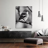 Warbler Bird 1 Wall Art