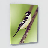 Warbler Bird 2 Wall Art