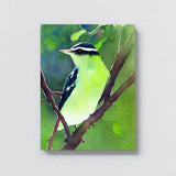 Warbler Bird 4 Wall Art