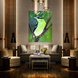 Warbler Bird 4 Wall Art