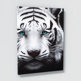 White Tiger Black And White Wall Art