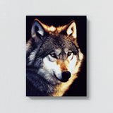 Wolf 13 Wall Art