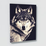 Wolf 14 Wall Art