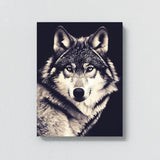 Wolf 14 Wall Art