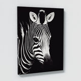 Zebra 13 Wall Art